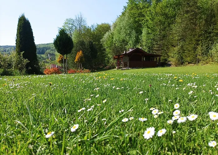 Zielone Wzgórze Сasa de vacaciones *