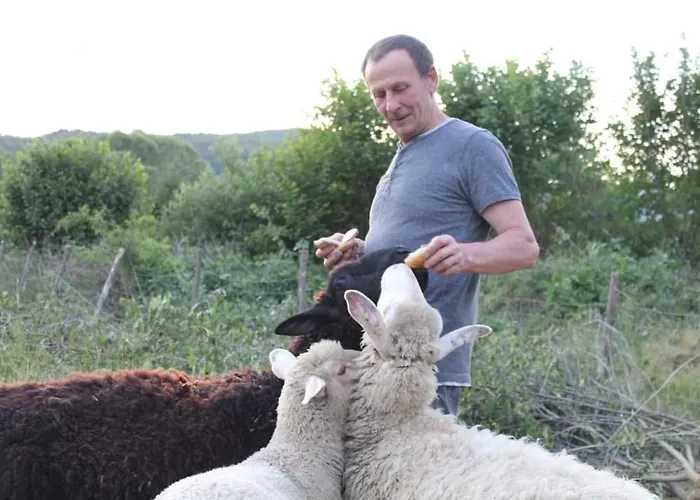 Zielone Wzgórze Сasa de vacaciones Malastow